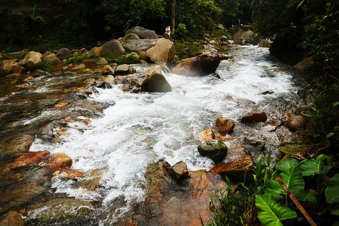 Bogor Botanical Garden & Rainforest Trekking to Hidden Waterfall - Cikaracak Waterfall: The 40-Meter Reward Stop