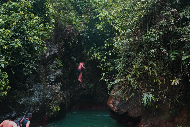 Bogor Botanical Garden & Rainforest Trekking to Hidden Waterfall - Lunch, Water, and Dietary Options That Actually Matter