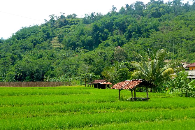 Bogor Botanical Garden & Rainforest Trekking to Hidden Waterfall - What $95 Buys: Value, Tickets, and the Stuff That Adds Up
