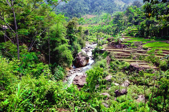 Bogor Botanical Garden & Rainforest Trekking to Hidden Waterfall - Transportation and Scheduling: Early Start, Country Roads, One Smooth Day
