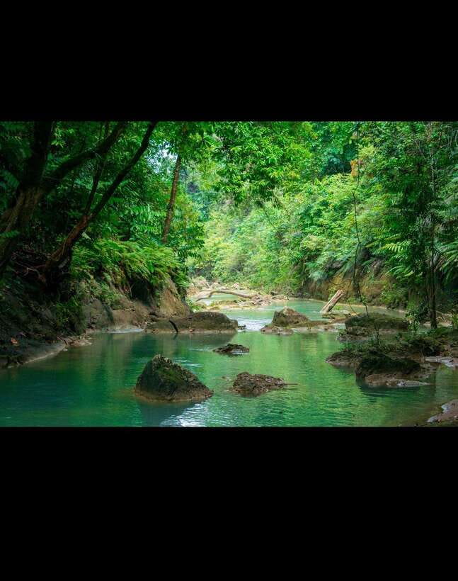 Bohol: Hidden Waterfall Hopping and Jungle Trek Adventure - Cliff jump coaching: how Kenneth, Jane, and RJay keep things safe