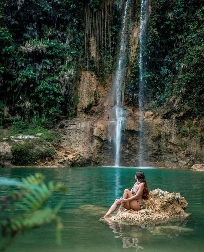 Bohol: Hidden Waterfall Hopping and Jungle Trek Adventure - Wildlife moments: carabao, birds, and monkeys