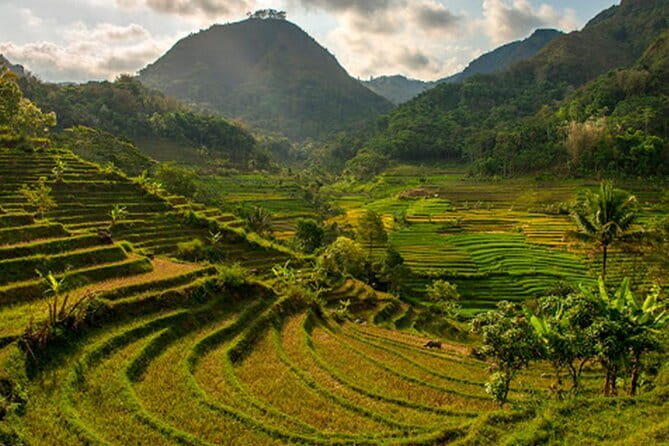 Borobudur Climb Up and Selogriyo Temple Rice Terraces Trekking - Price and Value: Why $95 Can Make Sense