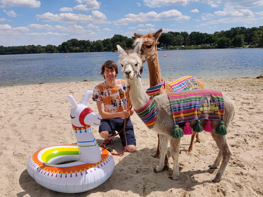 Braunschweig: Alpaca Trekking Tour - The Walk: 75 Minutes With Alpacas Along Oker and Südsee