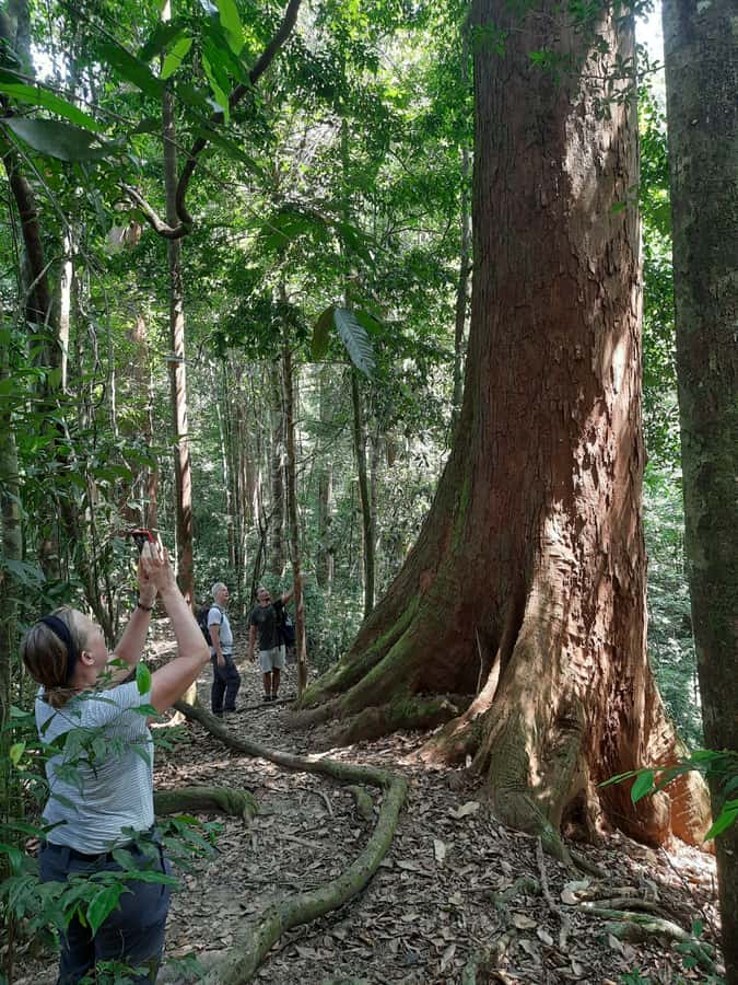 Bukit Lawang: Jungle Trekking and Rafting Day Trip - Lunch + Briefing Before the Trek: The Part That Saves Your Day