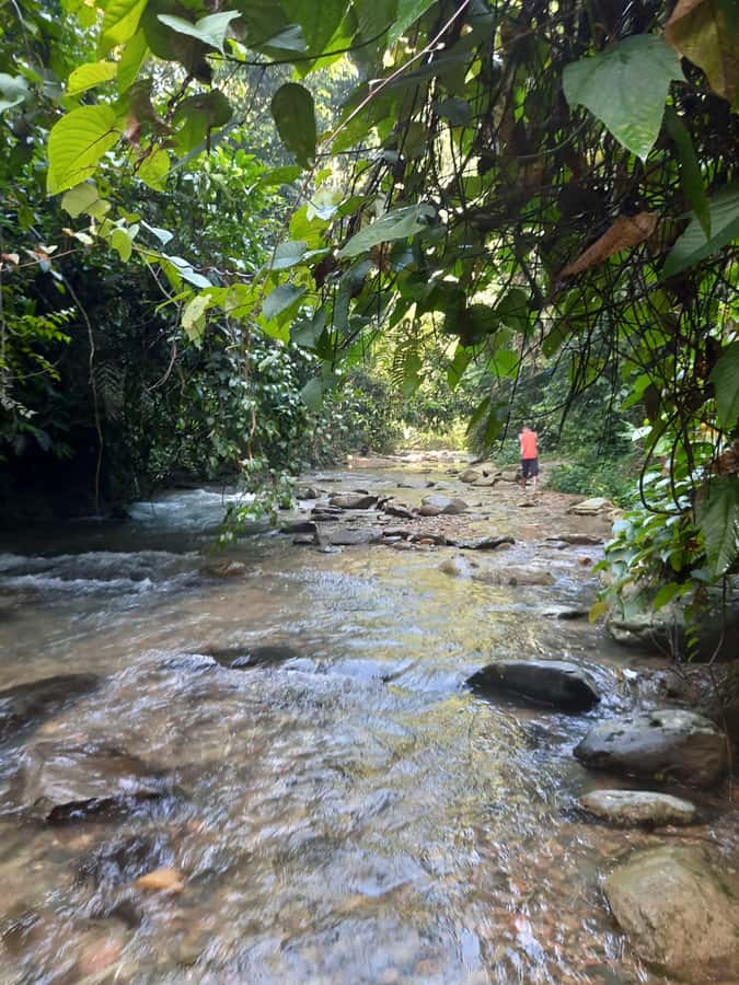 Bukit Lawang: Jungle Trekking and Rafting Day Trip - Lunch Energy + Fruit Stops: More Than Just Break Time