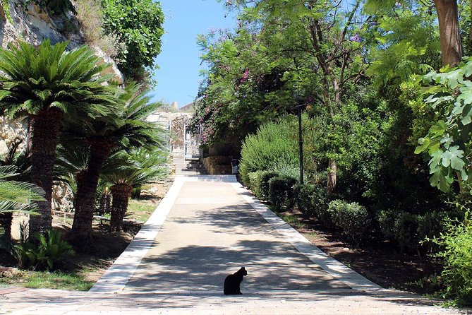 Cagliari urban trekking experience: the city you did not expect - The Rinascente meeting point and how you start this walk smoothly
