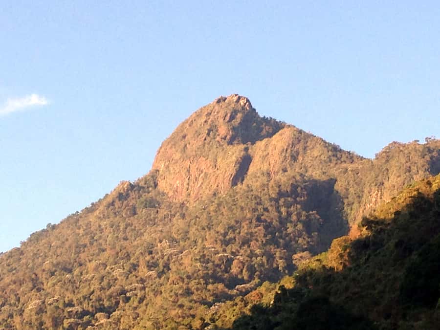 Cali: Pico de Loro Trekking Adventure - Farallones de Cali - Key Highlights You’ll Care About