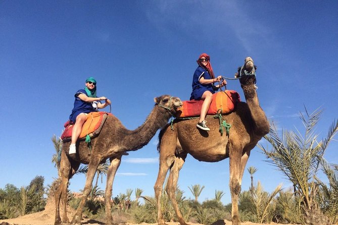 Camel Trek Around Marrakech Palmeraie - Marrakech Palmeraie Camel Trek: A Short Ride That Still Feels Like Morocco