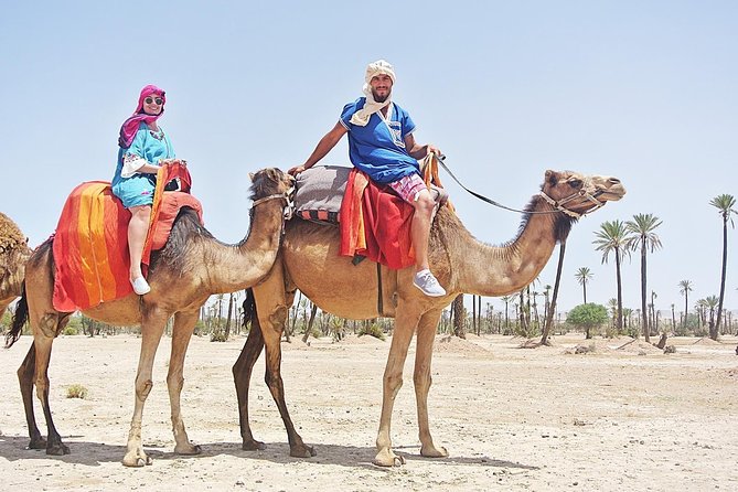 Camel Trek Around Marrakech Palmeraie - The Mint Tea Break: One Included Pause You’ll Actually Appreciate