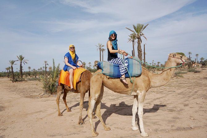 Camel Trek Around Marrakech Palmeraie - Price and Value: Is $34.89 Worth It?