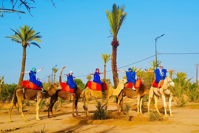 Camel Trek Around Marrakech Palmeraie - The Actual Camel Ride: Palm Groves, Sandy Paths, and Slow Views