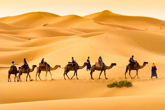 Camel trek with 1 Night in Luxury camp with Dinner+ Sundbording - Why Erg Chebbi Feels Different After Dark