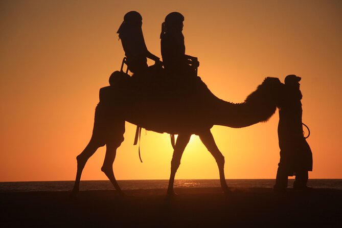 Camel trek with 1 Night in Luxury camp with Dinner+ Sundbording - Getting From Merzouga: Pickup and How to Make It Smooth