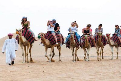 Camel Trekking and Morning Safari with Sand Boarding - Camel Trekking (About 20 Minutes): The Calm Part That Makes It Real