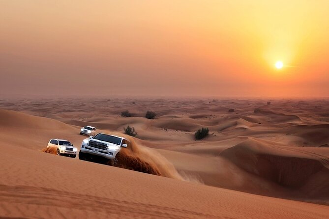 Camel Trekking Dubai with Dune Bashing and Sand Boarding - Key highlights I’d prioritize before you go