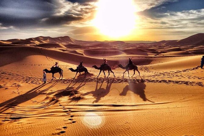 Camel Trekking Dubai with Dune Bashing and Sand Boarding - Morning pickup and the fast trip into the desert