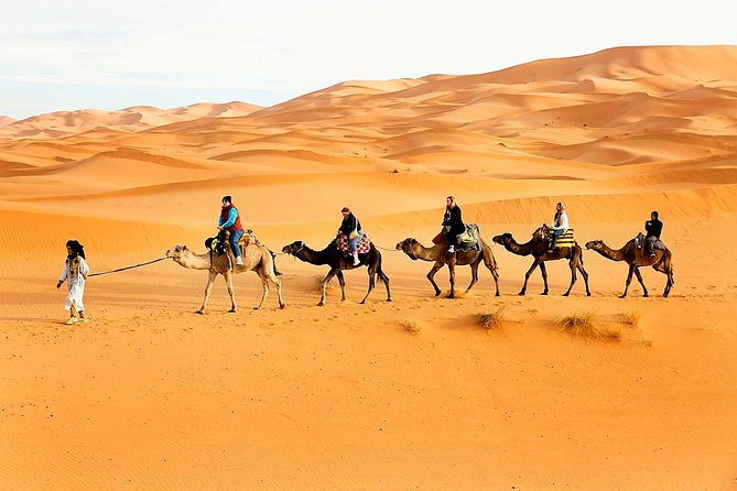 Camel Trekking Dubai with Dune Bashing and Sand Boarding - Camel trekking for about 1 hour: the slower side of the desert