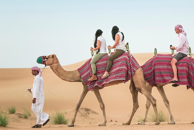 Camel Trekking Dubai with Dune Bashing and Sand Boarding - Group size reality: up to 200 travelers means “organized,” not “silent”