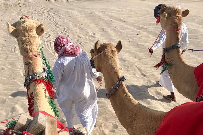 Camel trekking on the Dunes with Sunset - What to wear and bring for dunes in late afternoon