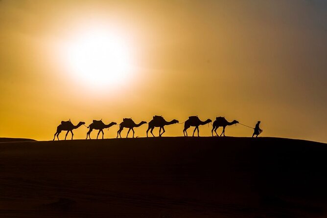 Camel trekking overnight in Merzouga desert camp - Who Should Book This Overnight Camel Trek (And Who Should Think Twice)