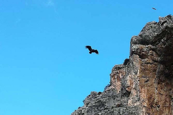 Caminito del Rey Trekking Walkway - Who should book this Caminito del Rey guided trek?