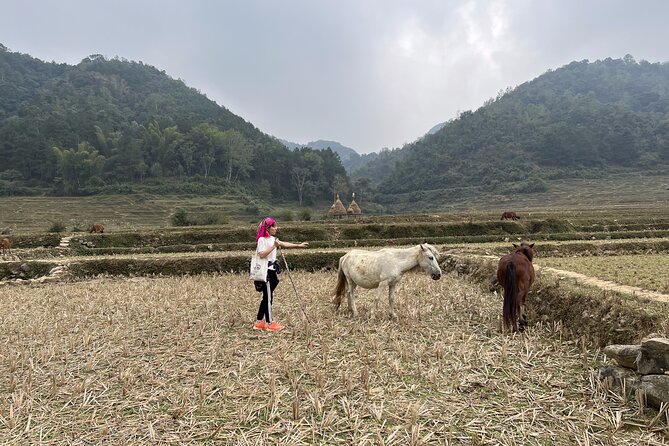 Cao Bang Easy Trekking Tours 2Days/1Night Ban Gioc Waterfall ET1 - Hanoi to Cao Bang at night: plan for real travel time