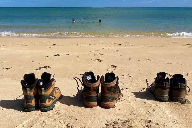 Cape Range National Park Full-Day Trekking Adventure - Mangrove Bay (or a dune climb) for the final reef views