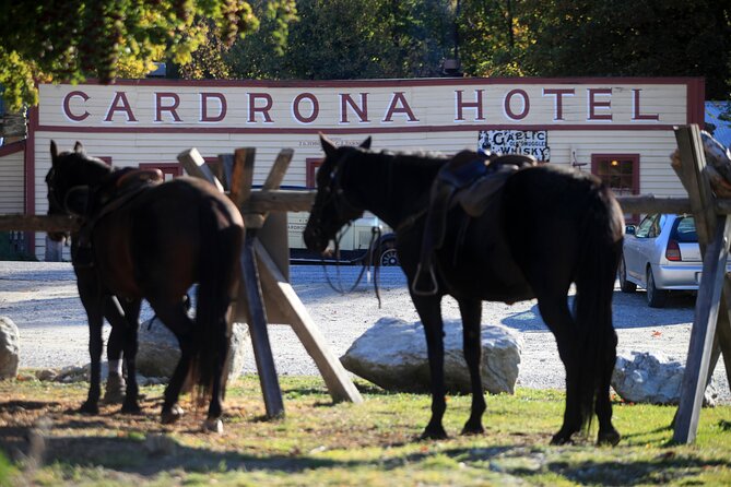 Cardrona High Country Pub Trail Horse Riding Trek (Intermediate+) - Key things I’d bank on