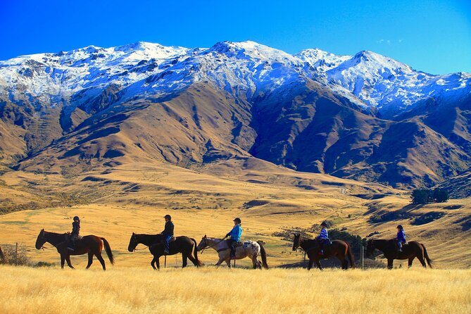 Cardrona High Country Pub Trail Horse Riding Trek (Intermediate+) - Cardrona High Country Pub Trail: what this ride is really about