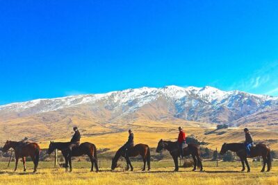 Cardrona High Country Pub Trail Horse Riding Trek (Intermediate+) - Matching you with the right horse (and why it matters)