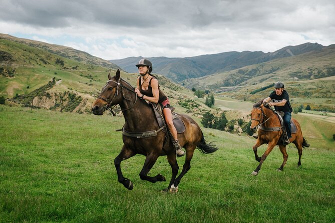 Cardrona High Country Pub Trail Horse Riding Trek (Intermediate+) - Trotting, cantering, and river crossings: what to expect in your body