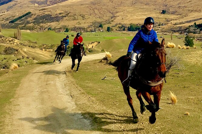 Cardrona High Country Pub Trail Horse Riding Trek (Intermediate+) - Small group logistics: why max 7 is a big deal