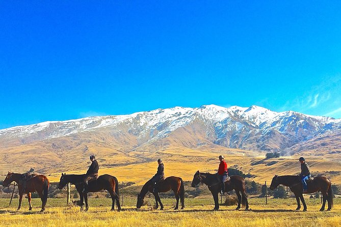 Cardrona High Country Pub Trail Horse Riding Trek (Intermediate+) - Matching you with the right horse (and why it matters)