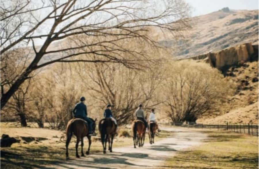 Cardrona Valley: Horse Trekking Experience - Key Things You Should Know Before You Go