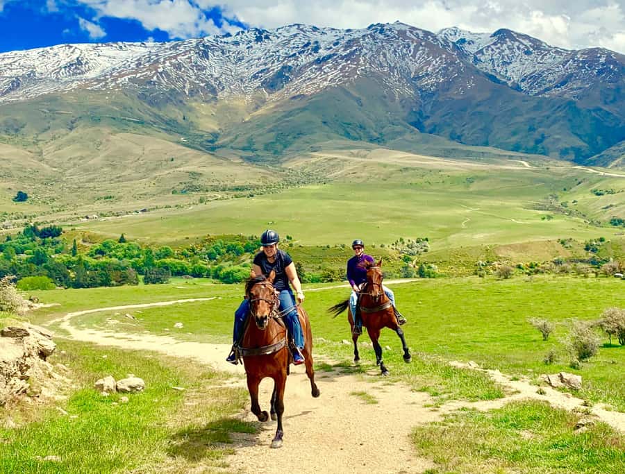 Cardrona Valley: Horse Trekking Experience - Cardrona Valley Horse Trekking: What the Ride Feels Like