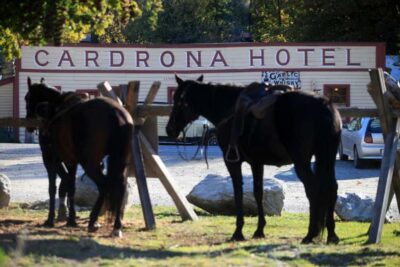 Cardrona Valley: Horse Trekking Experience - Before the Trails: Your One-on-One Lesson and Loose-Rein Confidence