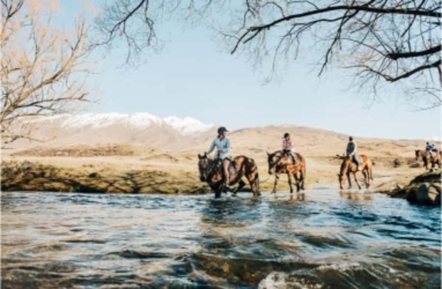 Cardrona Valley: Horse Trekking Experience - Timing, Meeting Point, and What a Small Group Actually Changes
