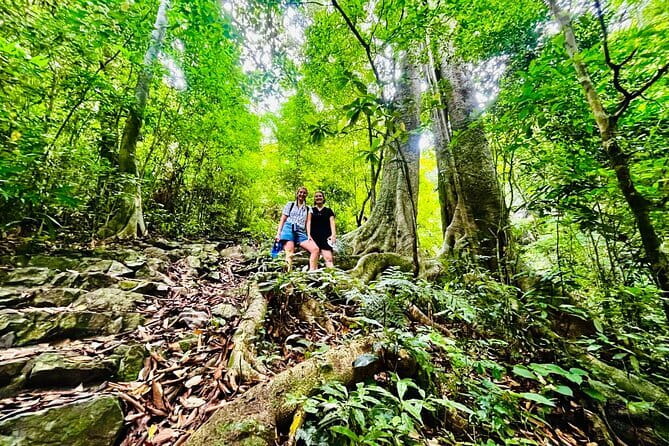 Cat Ba National Park Full Day Trekking Tour to Viet Hai Village - Weather and timing: fitting it into a 7–8 hour day