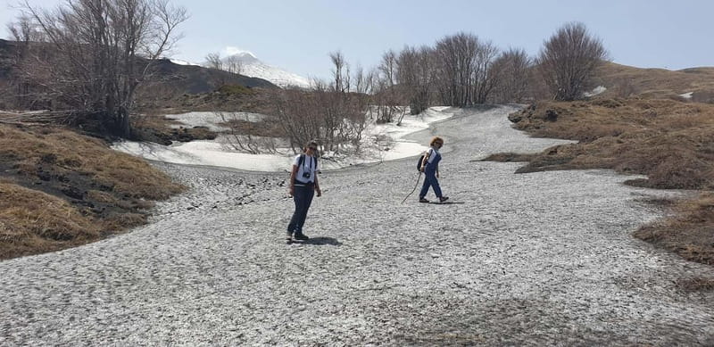 Catania: Etna 3000m and Alcantara Gorges Trek with Pickup - Price and value: is $191.45 worth it for an 8-hour volcano-and-canyon day?
