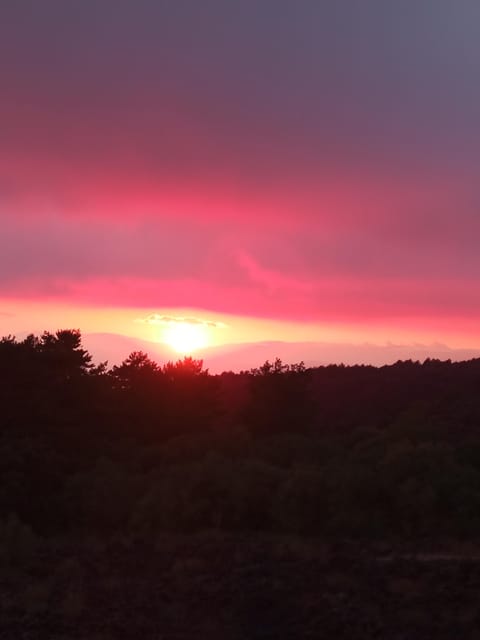 Catania: Mount Etna Sunset Trekking with Wine Tasting - Valle del Bove: standing above a caldera you can feel in your chest