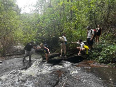 Chiang Mai: 1-Day Trekking Experience to Village & Waterfall - The morning flow: market stop, Mae Win District, and the first hike stretch