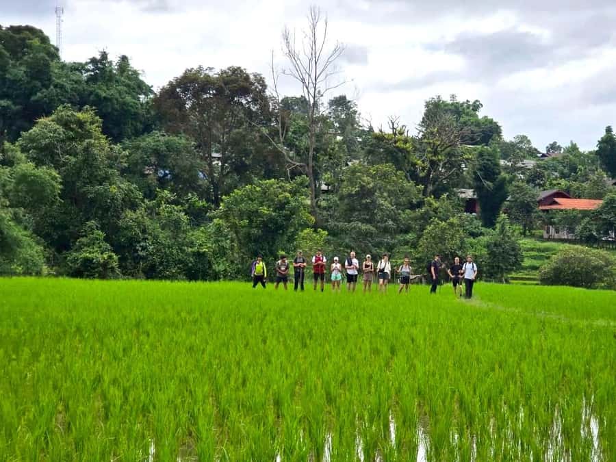 Chiang Mai: 1-Day Trekking Experience to Village & Waterfall - Afternoon waterfall circuit: three more cooling stops plus a second village