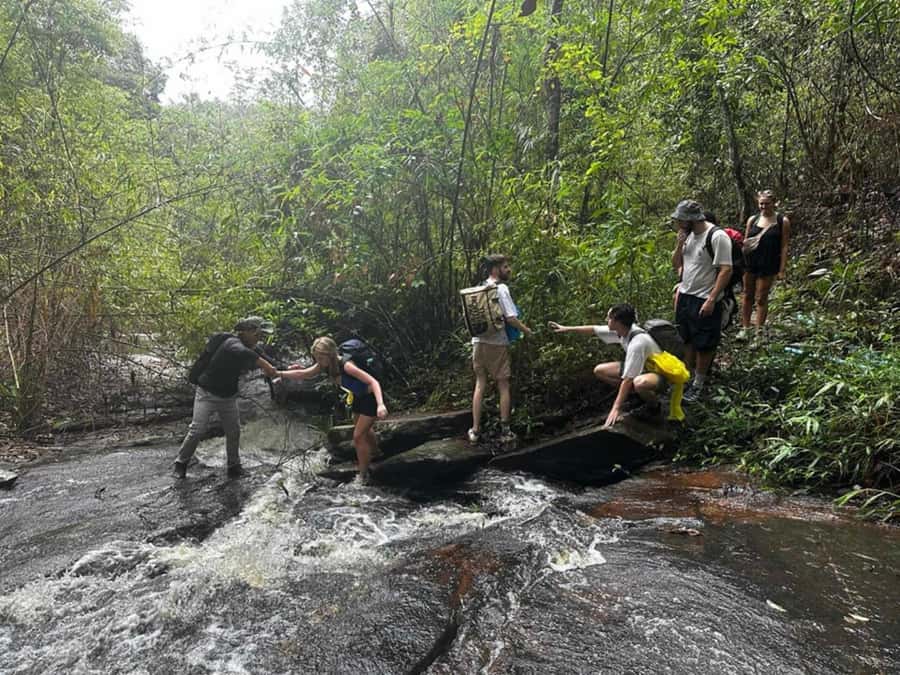 Chiang Mai: 1-Day Trekking Experience to Village & Waterfall - The morning flow: market stop, Mae Win District, and the first hike stretch