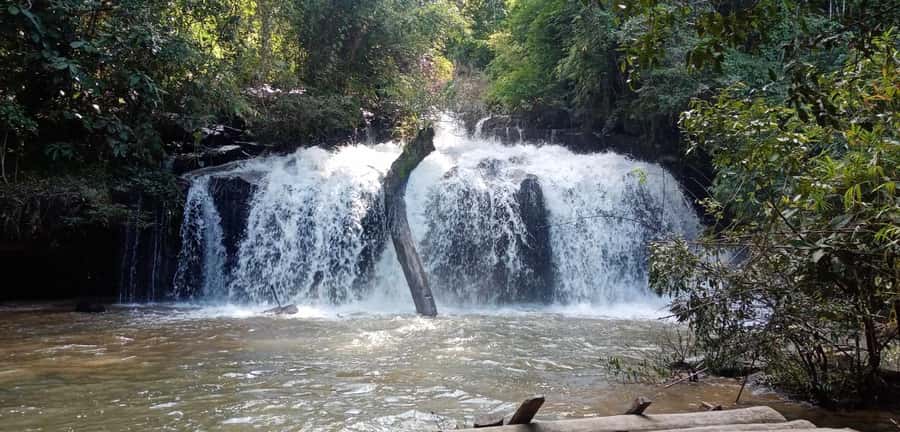 Chiang Mai: 2-Day Jungle Trek with Elephant Farm & Raft Ride - Guides Make or Break It: The Names People Keep Mentioning