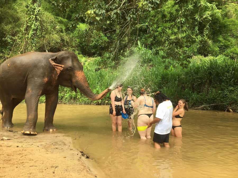 Chiang Mai: 2-Day Jungle Trek with Elephant Farm & Raft Ride - Market to Mountains: Starting Chiang Mai Like a Local