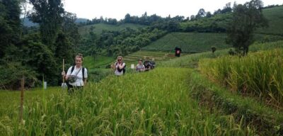 Chiang Mai: 2-Day Jungle Trek with Elephant Farm & Raft Ride - Mae Wang Bamboo Rafting: Quiet Water, Real Thai Sun