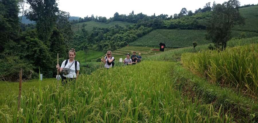 Chiang Mai: 2-Day Jungle Trek with Elephant Farm & Raft Ride - Mae Wang Bamboo Rafting: Quiet Water, Real Thai Sun