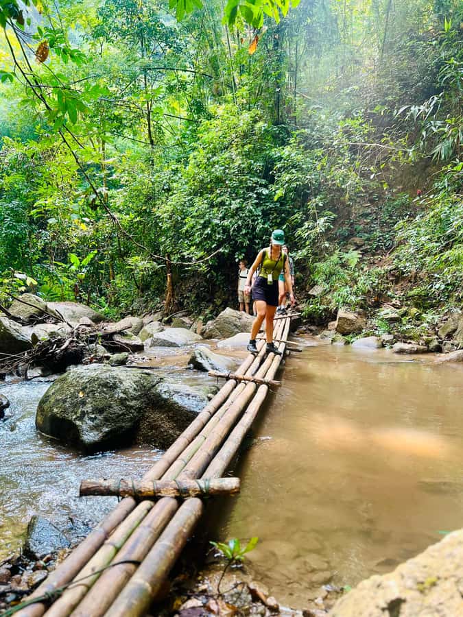 Chiang Mai 2-Day: Trekking, Tubing & Elephant Observation - Day 2: breakfast, check-out, and back to Chiang Mai