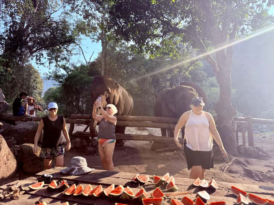 Chiang Mai 2-Day: Trekking, Tubing & Elephant Observation - Mae Taeng river tubing near Elephant Nature Park